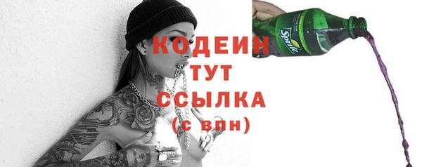 шишки Козловка
