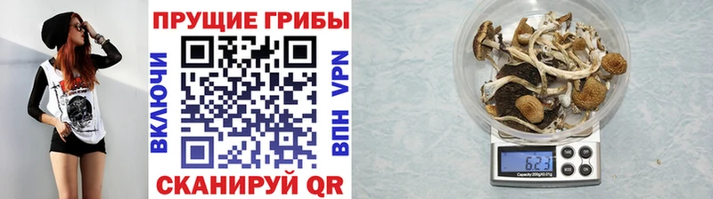 Галлюциногенные грибы мицелий  Киселёвск 