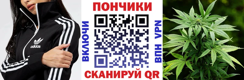 Канабис Amnesia  ОМГ ОМГ онион  Киселёвск 